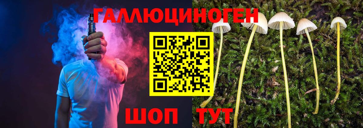 Псилоцибиновые грибы Magic Shrooms  Псилоцибиновые грибы ЛСД  Приморско-Ахтарск 