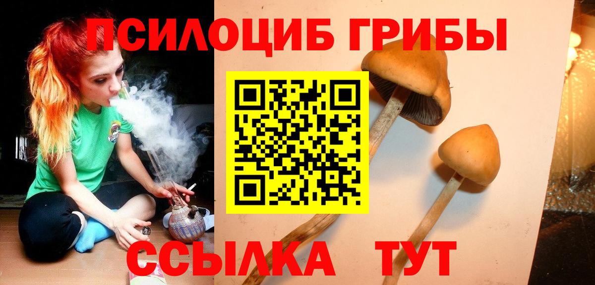 Псилоцибиновые грибы Magic Shrooms  купить закладку  Приморско-Ахтарск  Вход с VPN 