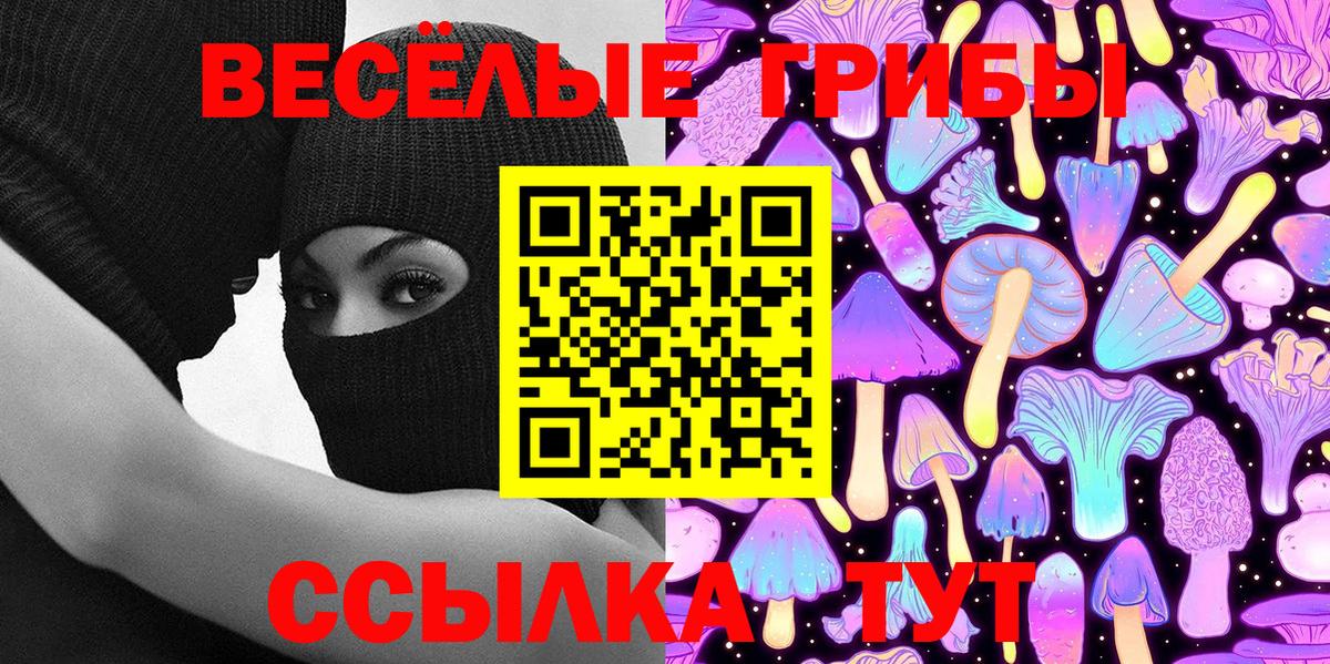 Галлюциногенные грибы Psilocybe Приморско-Ахтарск