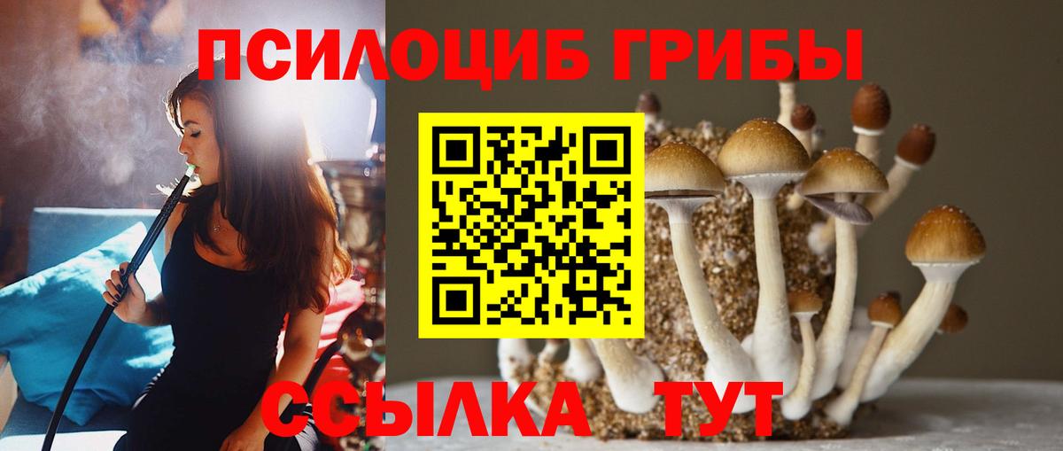 Псилоцибиновые грибы MAGIC MUSHROOMS Приморско-Ахтарск